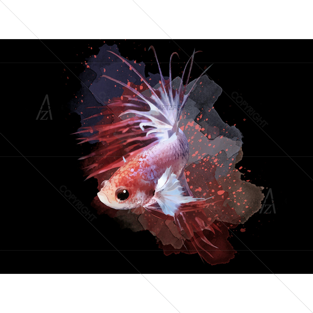 Fighting Fish Image — custom-size art design 5013256