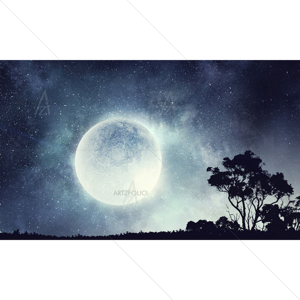 Full Moon D2 — custom-size art design 5013297