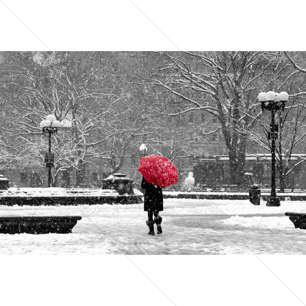 Woman With Umbrella D2 — custom-size art design 5013318