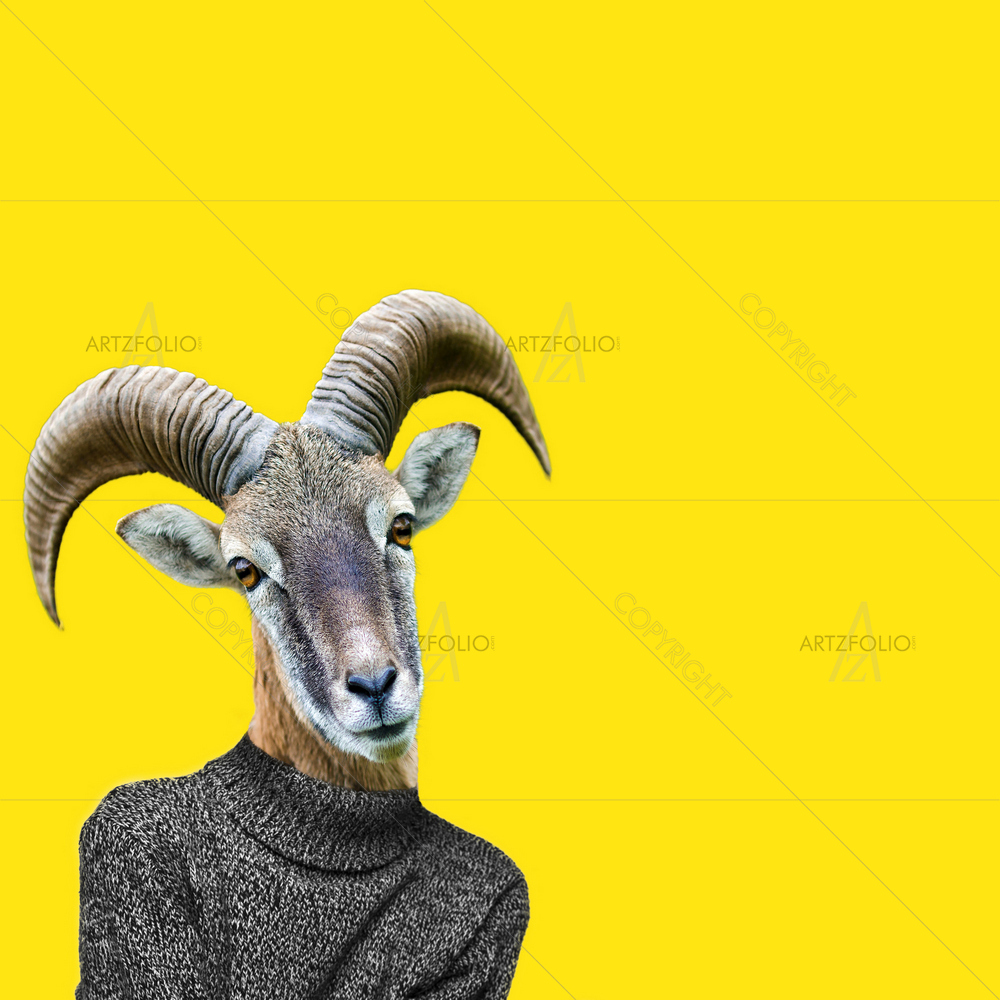 Abstract Sheep Horn — custom-size art design 5013361