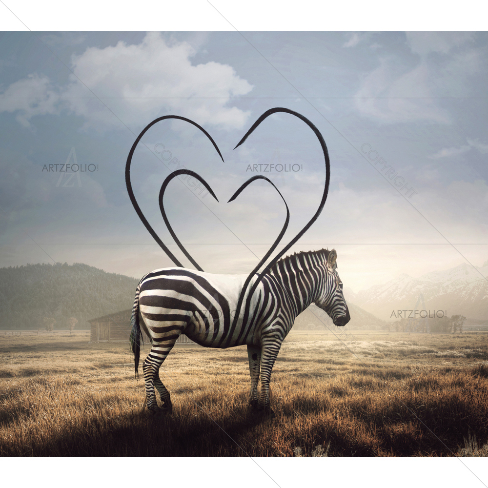 Zebra and Its Stripes making Heart — Abstract custom art by ArtzFolio