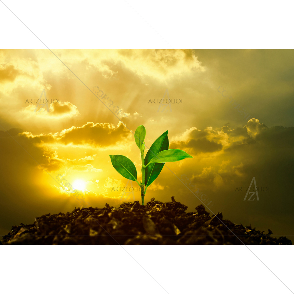Growing Tree on Fertile Soil — Astronomy custom art by ArtzFolio