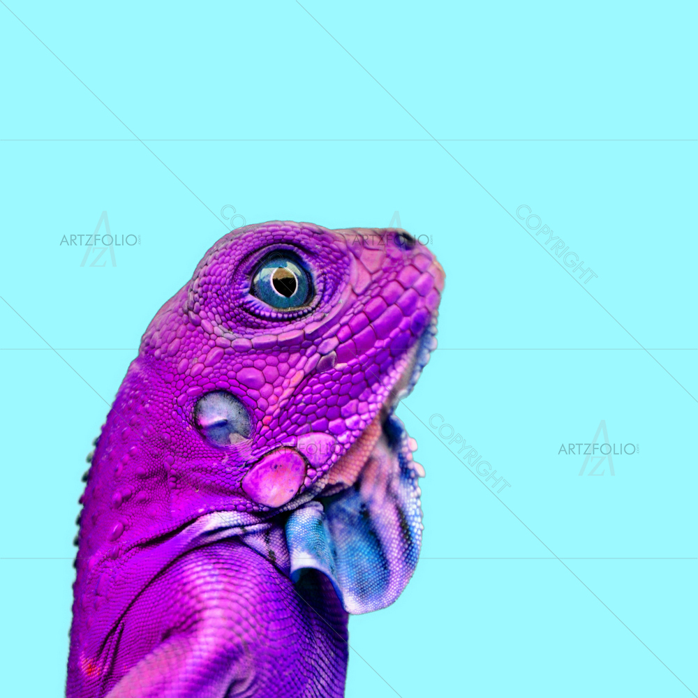 Colorful Lizard, Chameleon — custom-size art design 5013478