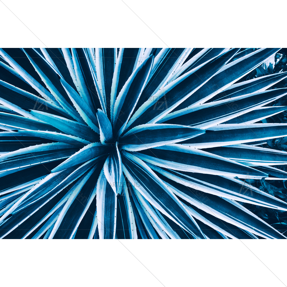 Blue Agave Leaf — custom-size art design 5013527