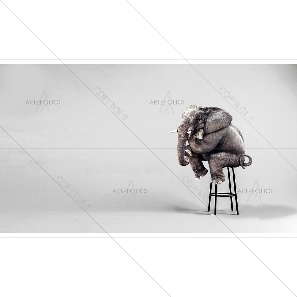 Baby Elephant Sitting on Chair — custom-size art design 5013530