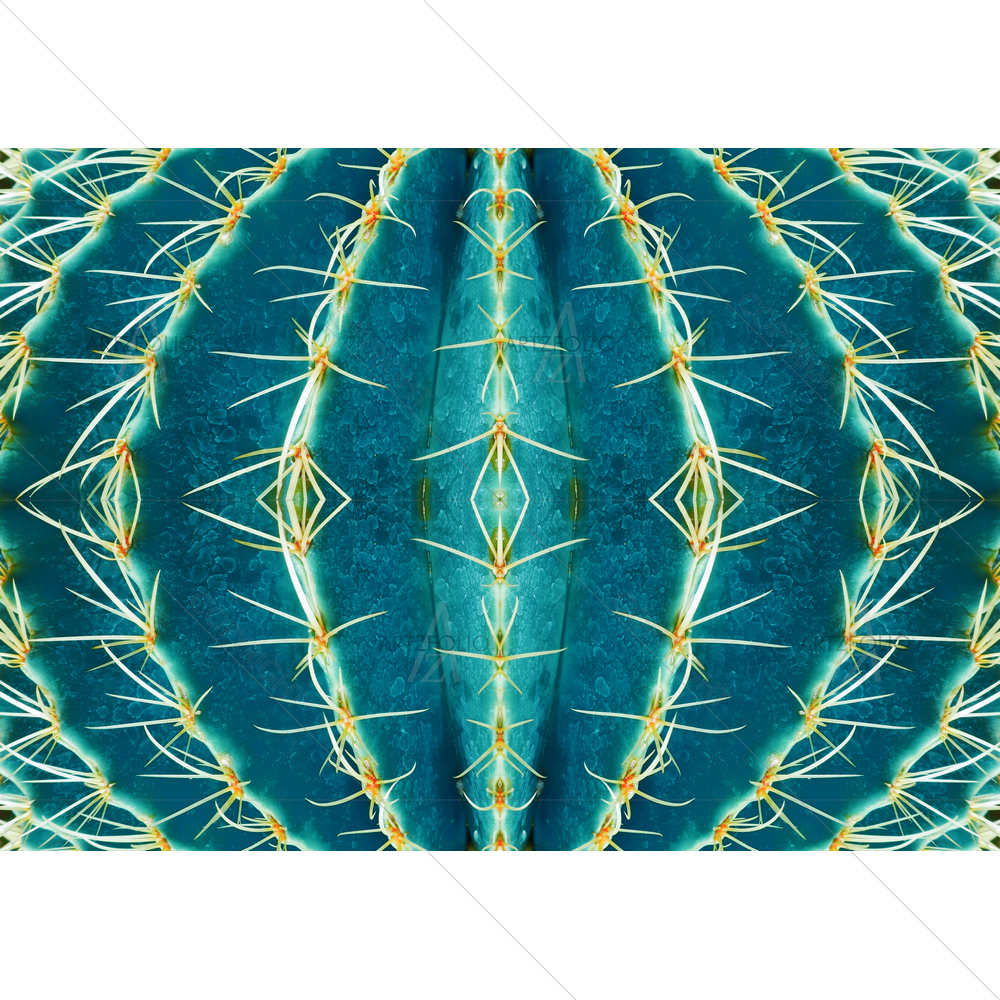 Blue Toned Thorn Cactus — Botanical custom art by ArtzFolio