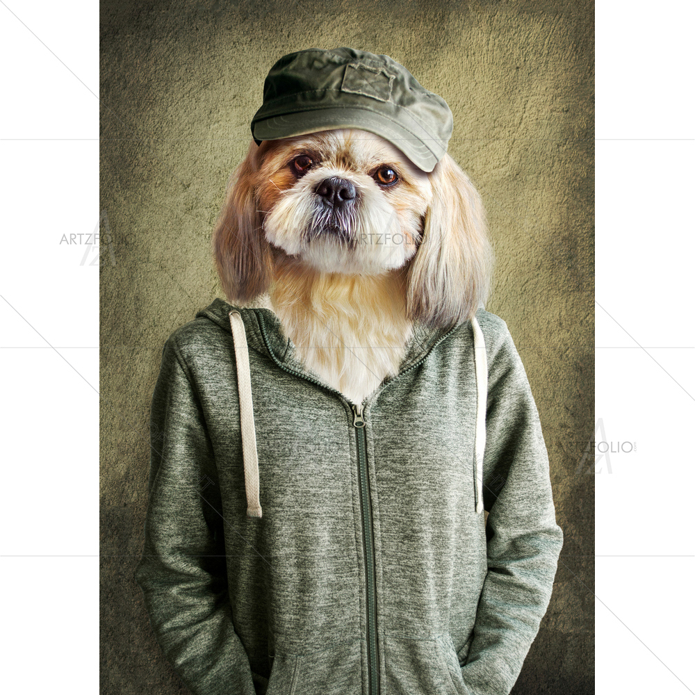 Human Clothes on Shih tzu — custom-size art design 5013562