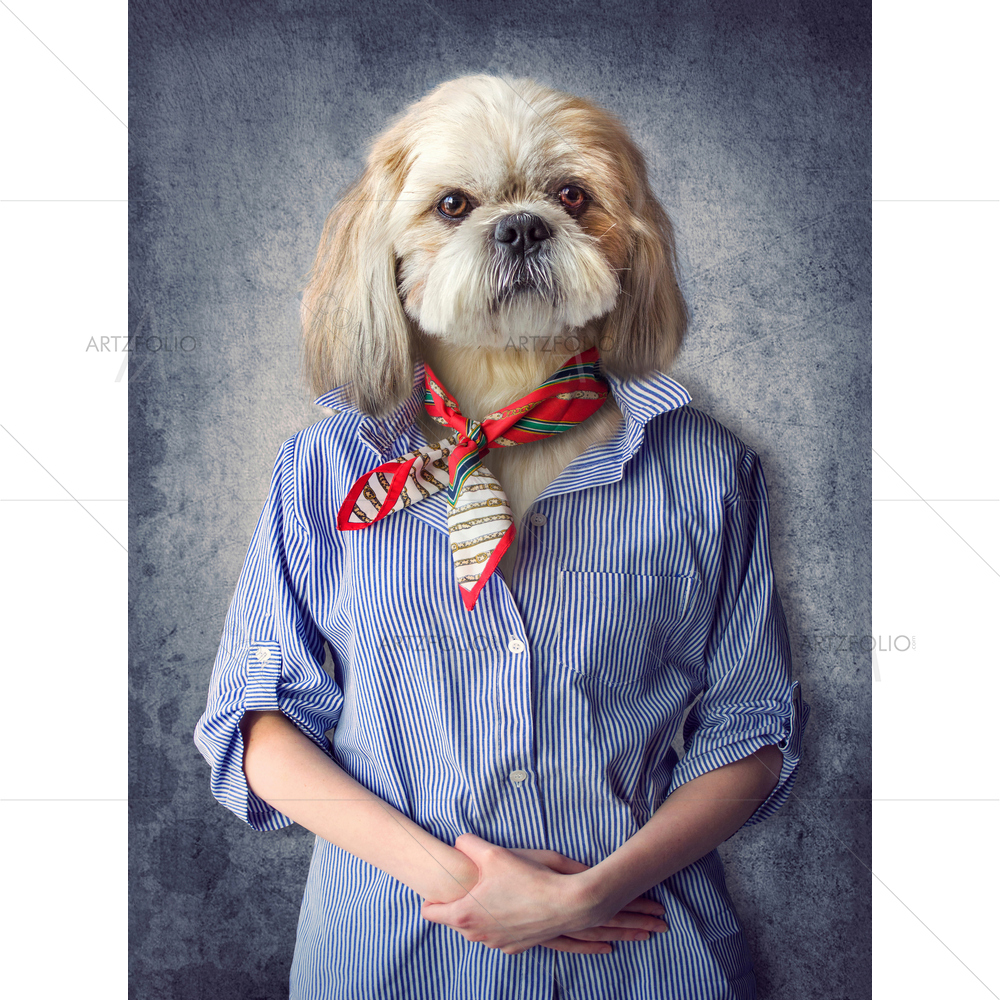 Shih Tzu Dog Portrait — custom-size art design 5013574