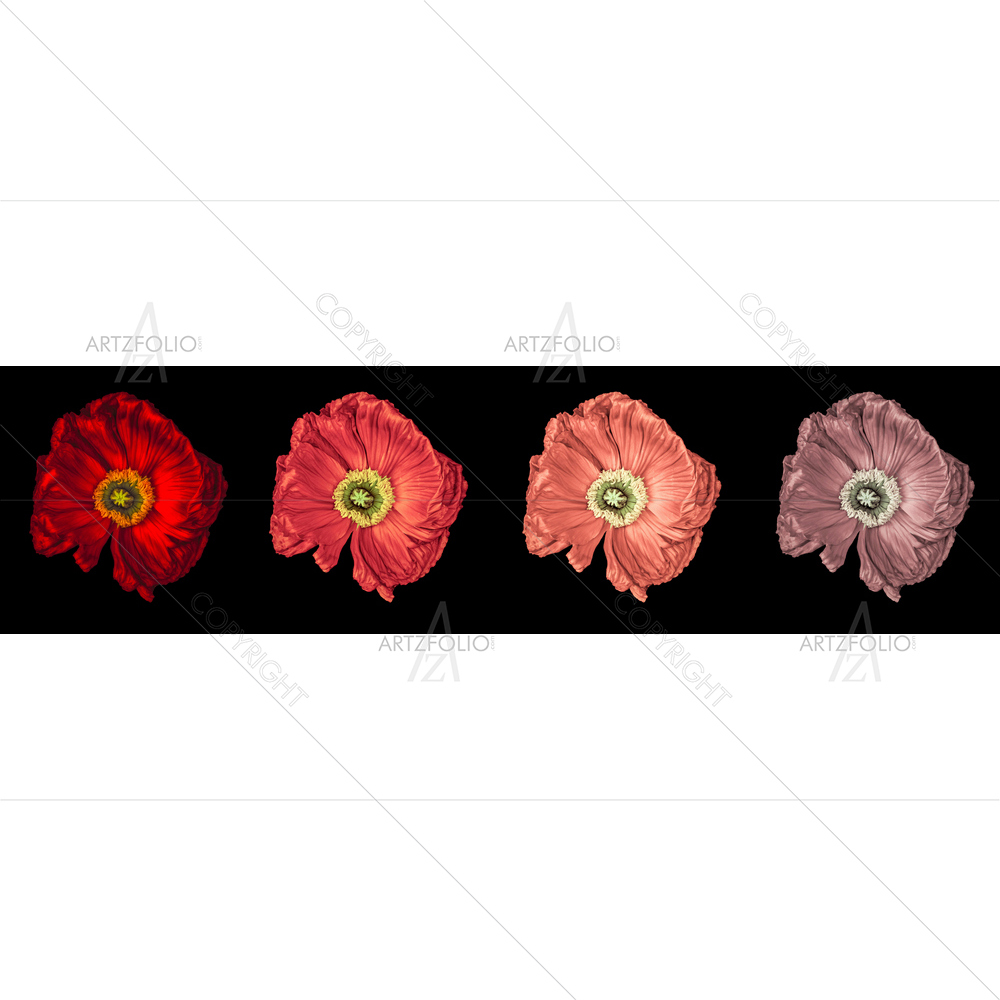 Still Life Colorful Flower — Botanical custom art by ArtzFolio