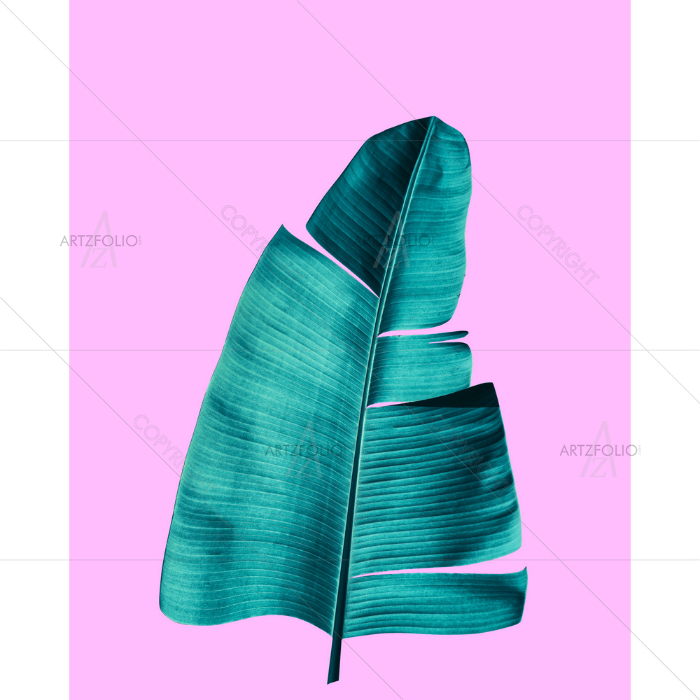 Tropical Banana Palm Leaves — custom-size art design 5013625