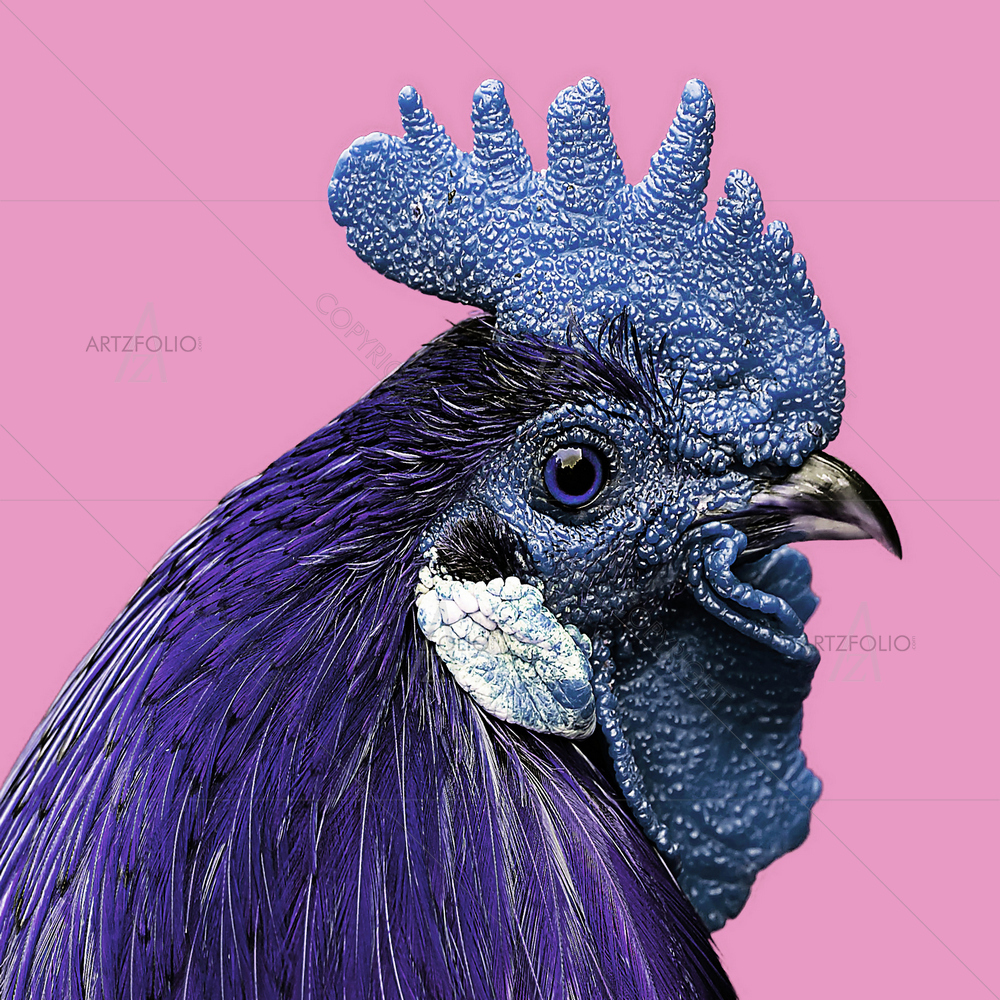 Blue Cock Portrait — custom-size art design 5013635