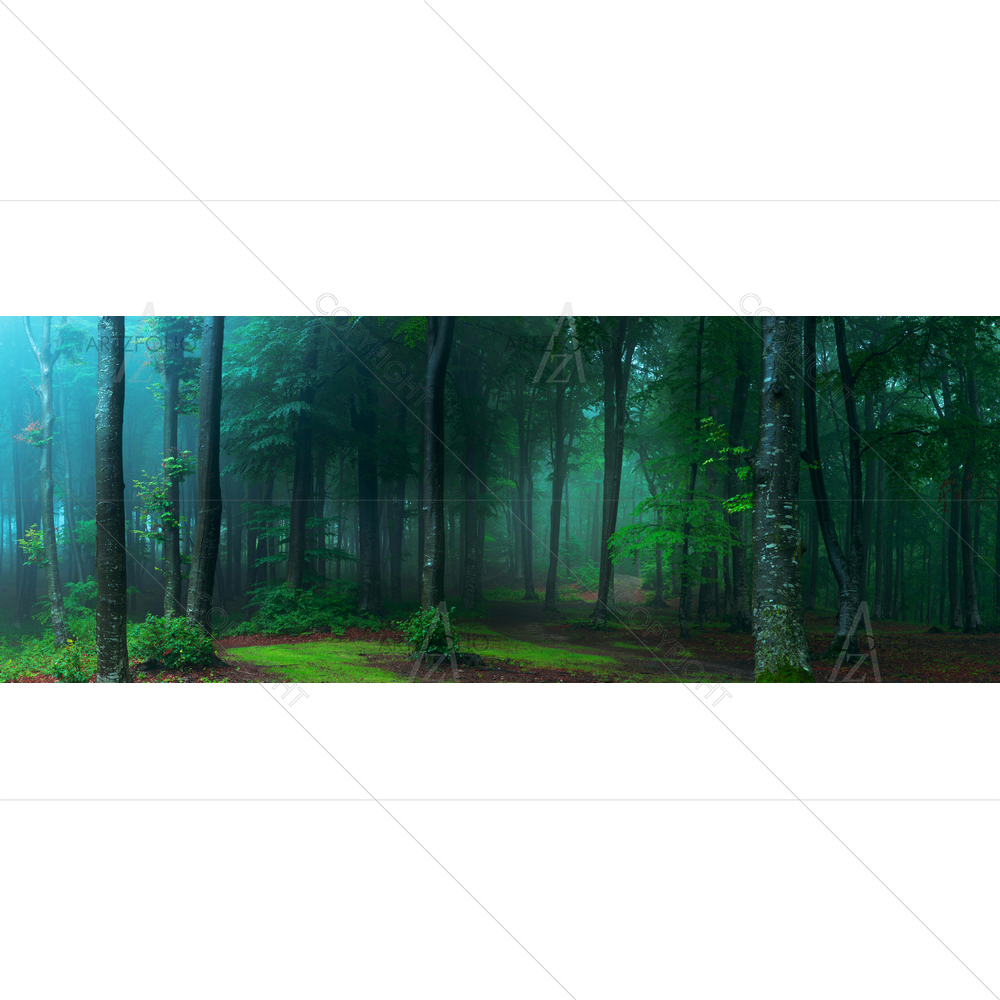 Foggy Forest — Devotional custom art by ArtzFolio