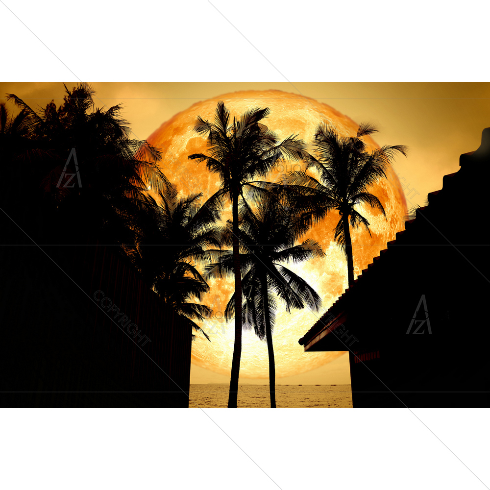 Full Blood Moon, NASA D1 — custom-size art design 5013641