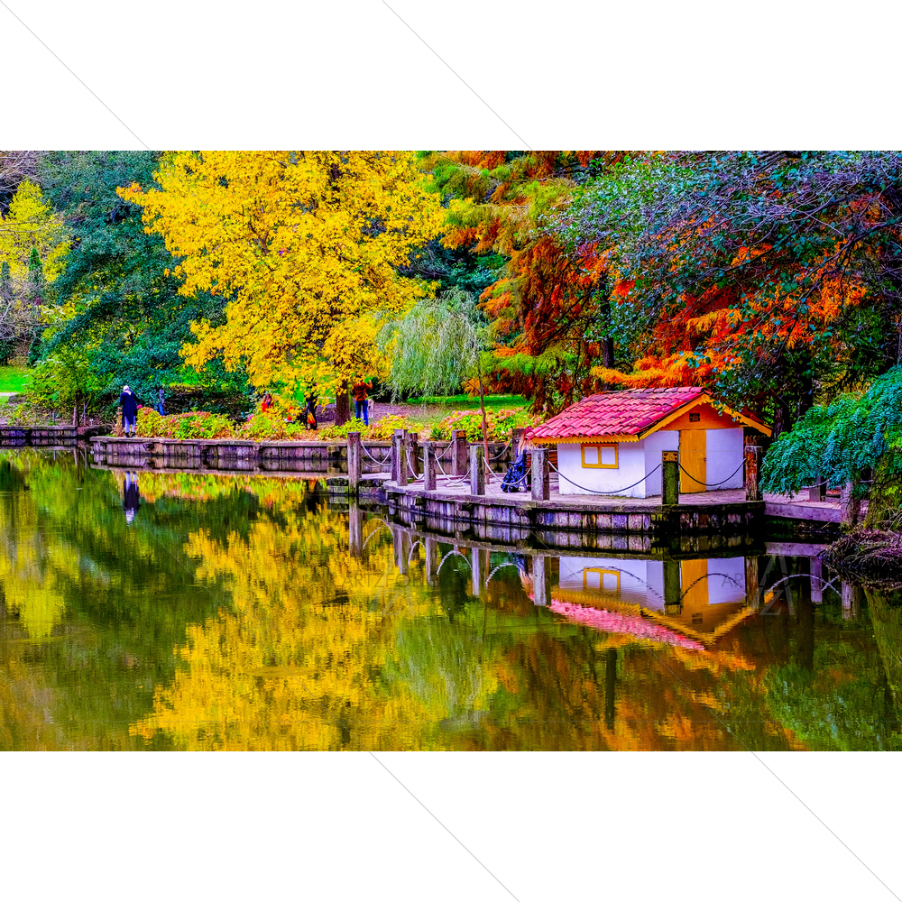 Colorful Autumn Trees — Fluid marble custom art by ArtzFolio