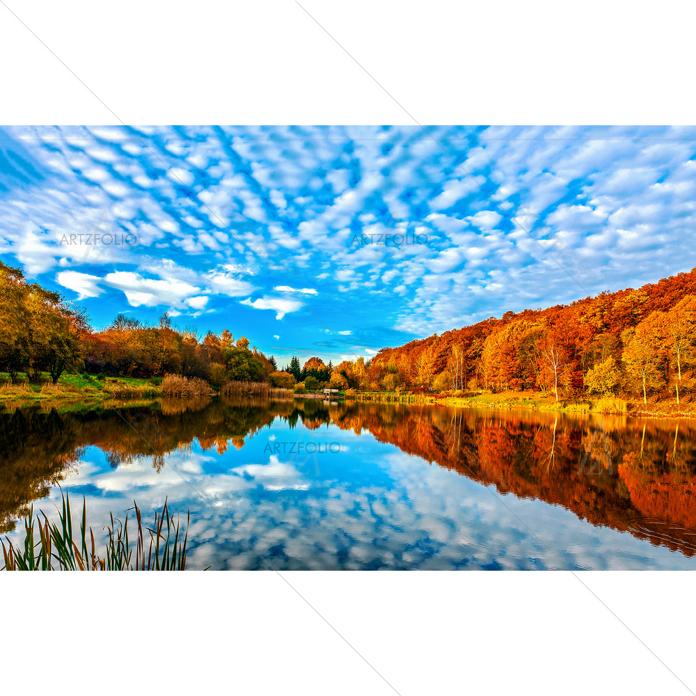 Autumn Forest Landscape D2 — custom-size art design 5013681