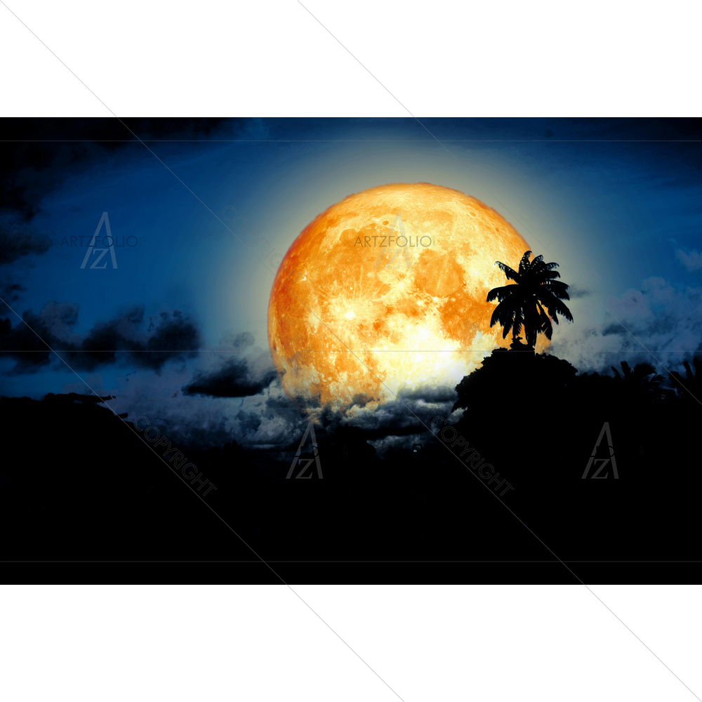 Full Sturgeon Moon, NASA — custom-size art design 5013686