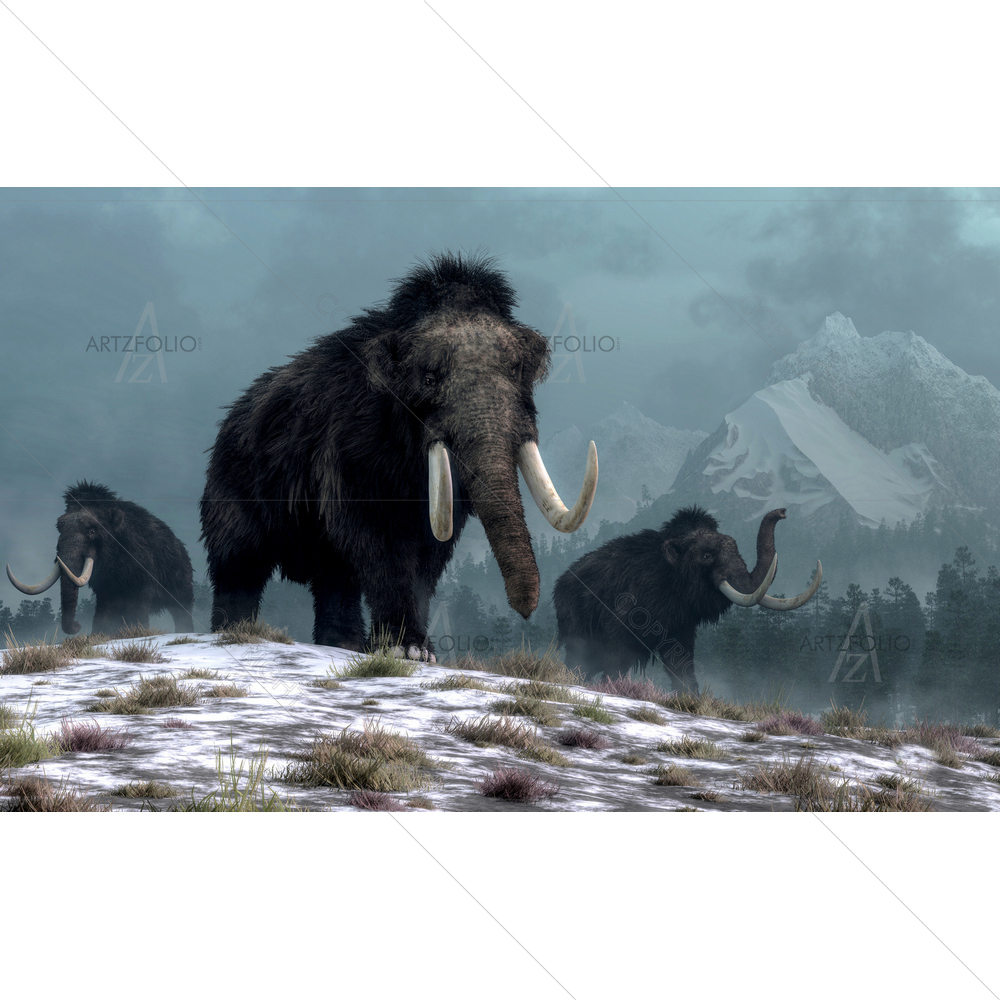 Woolly Mammoths Trio Over Snow Hills — Ancient custom art by ArtzFolio