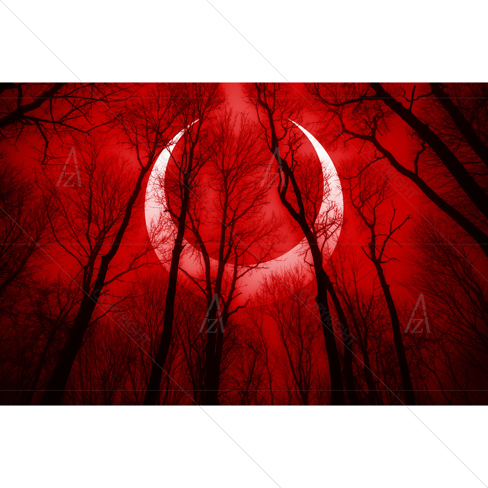 Dark Forest Scene — Astrology custom art by ArtzFolio
