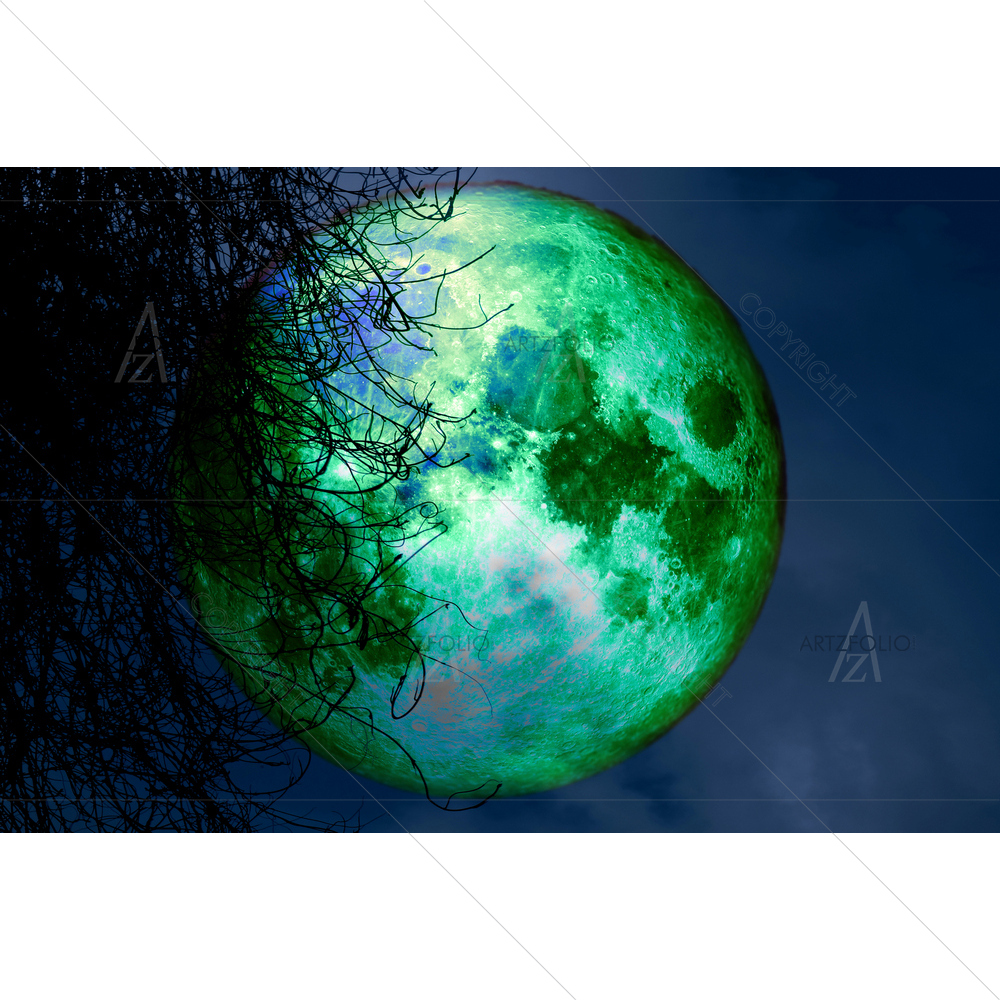 Full Beaver Moon, NASA — Landscapes custom art by ArtzFolio