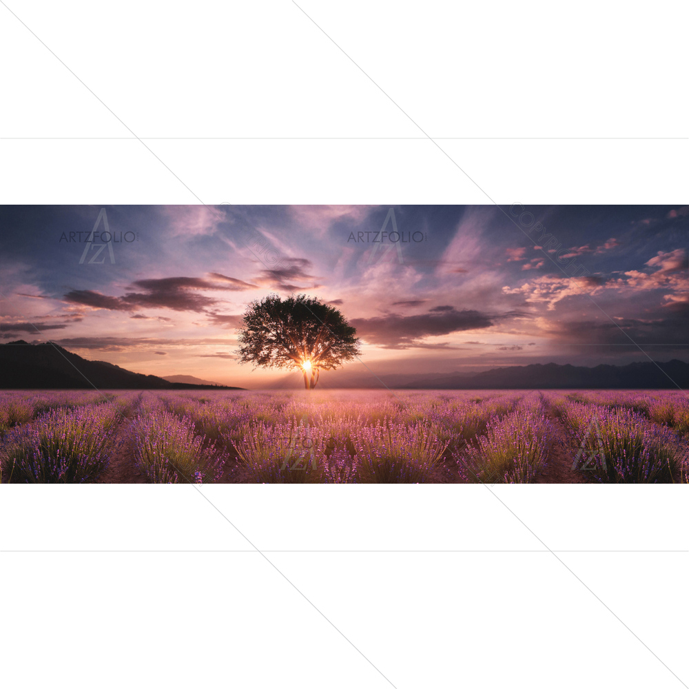 Lavender Field D2 — Devotional custom art by ArtzFolio
