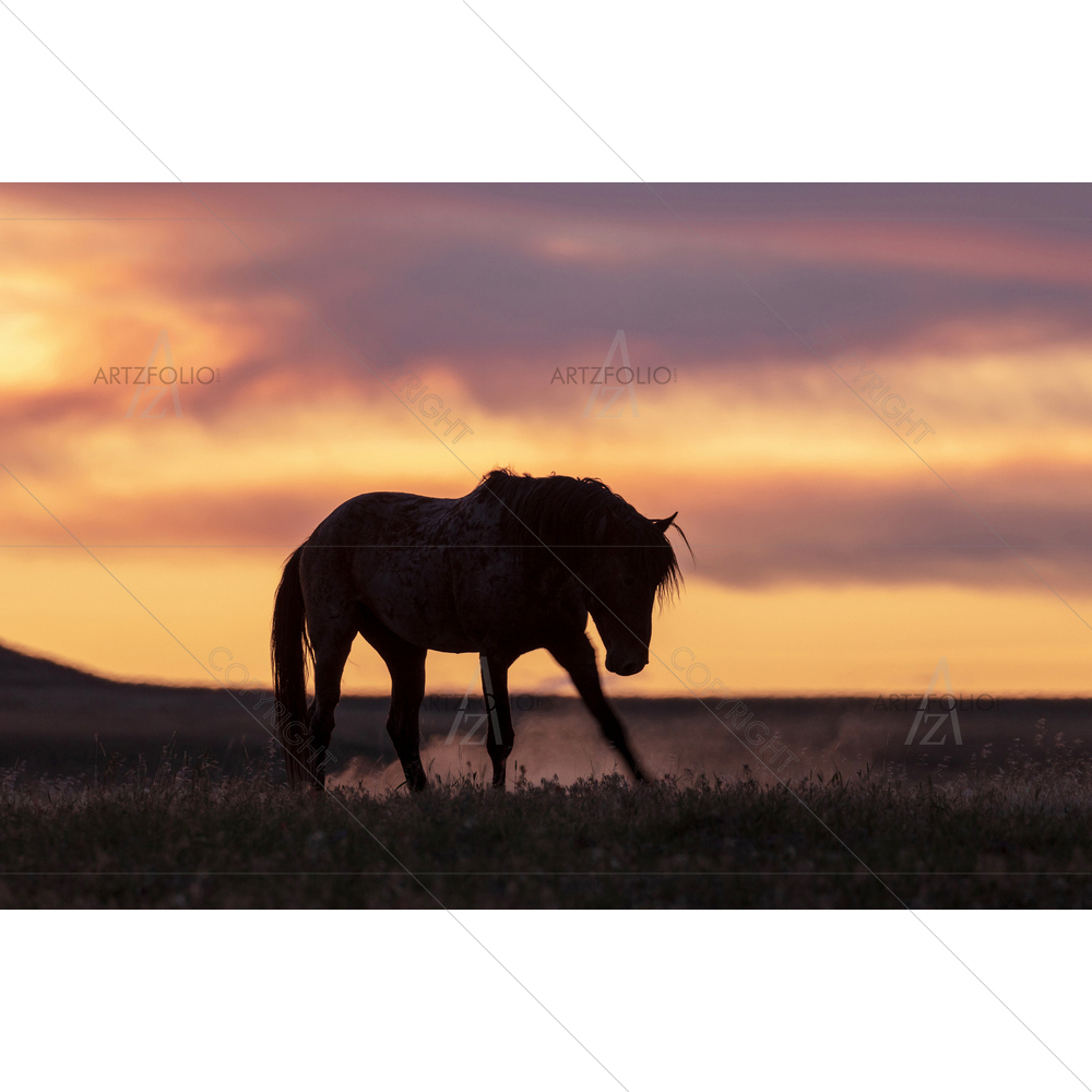 Wild Horse, Utah Desert — custom-size art design 5013855