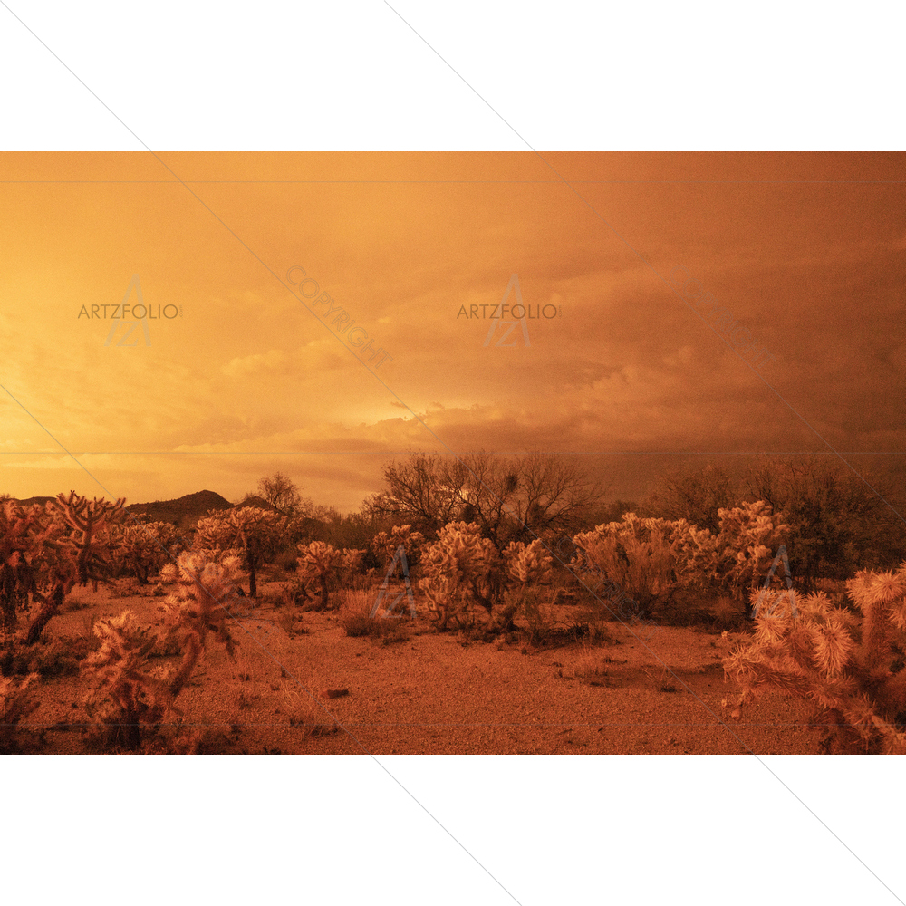 Storm hits Middle of Arizona Desert — custom-size art design 5013909