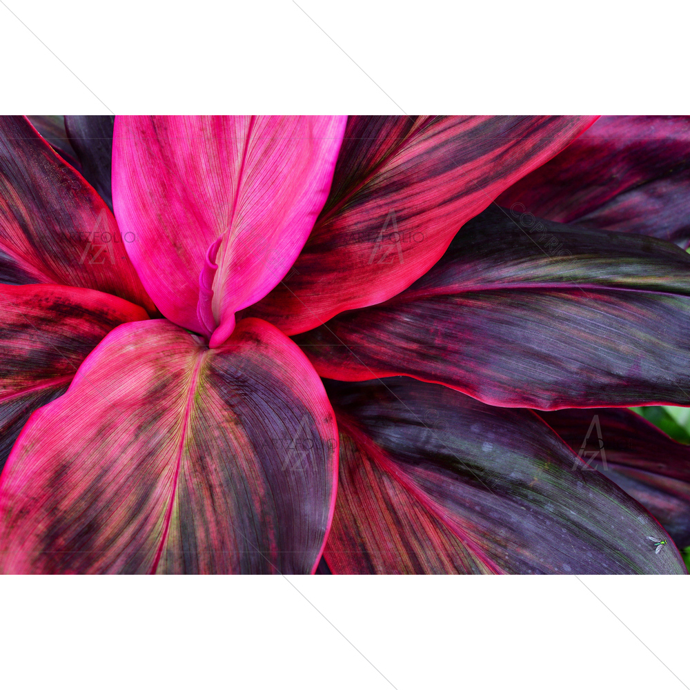 Tropical Foliage — custom-size art design 5013922