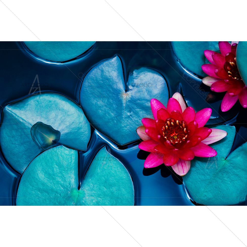 Red Lotus Water Lily Blooming — Devotional custom art by ArtzFolio