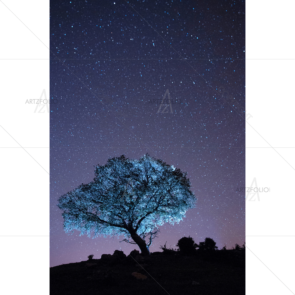 Night Landscape D4 — Astronomy custom art by ArtzFolio