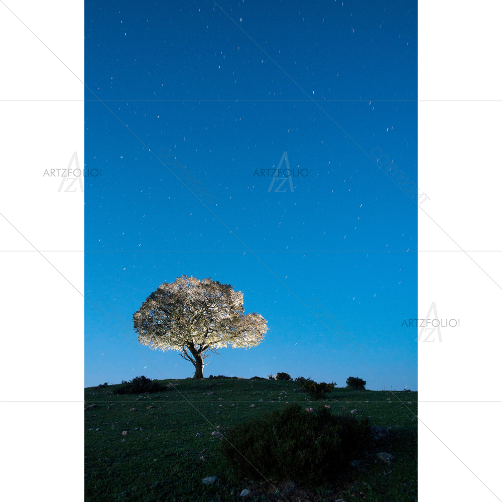 Night Landscape D5 — custom-size art design 5013944