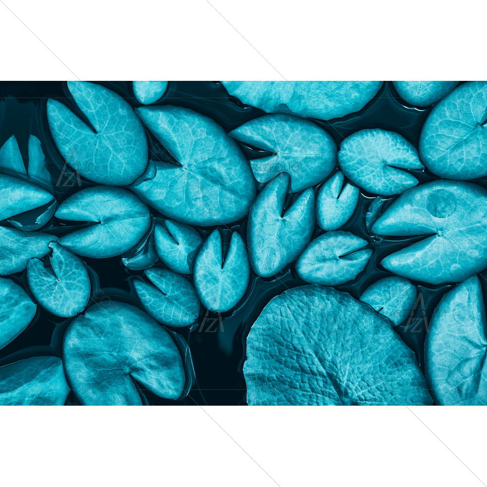 Lotus Foliages — Botanical custom art by ArtzFolio
