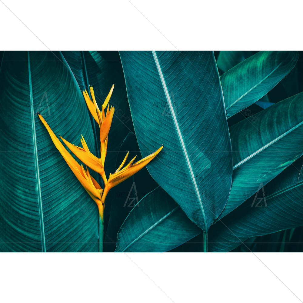 Tropical Flower — custom-size art design 5013969