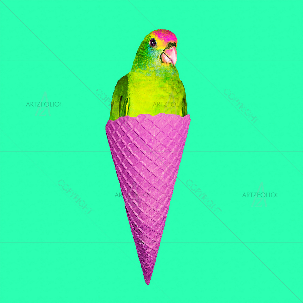 Parrot Ice Cream — custom-size art design 5013995