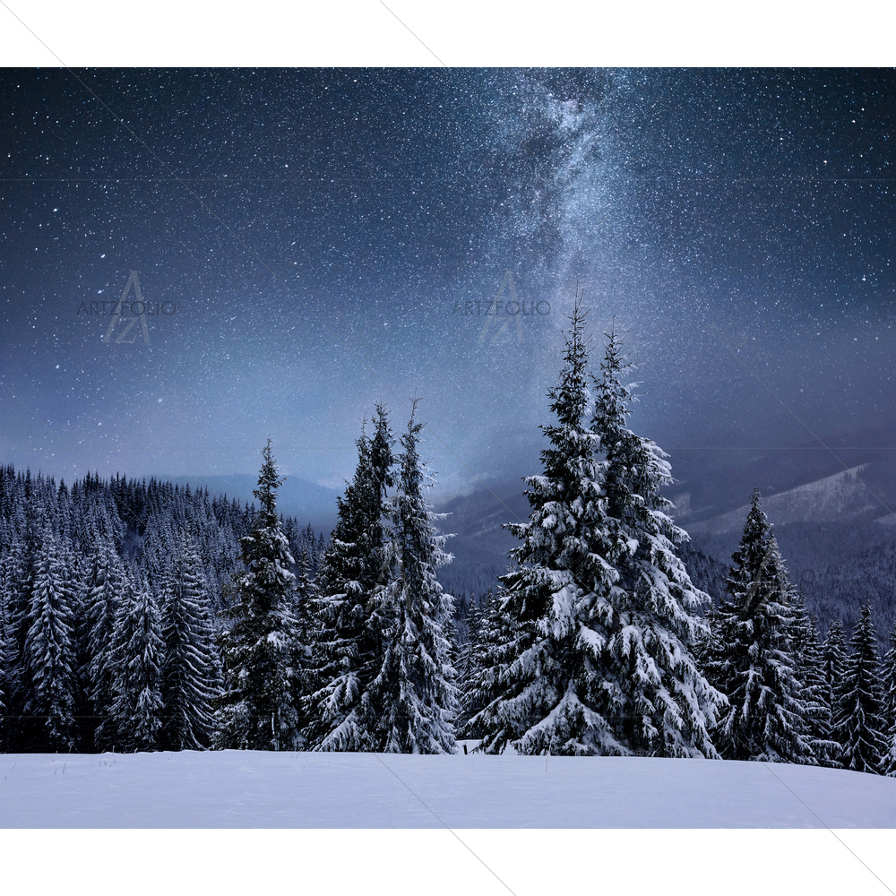 Forest on Mountain Ridge with Snow — custom-size art design 5014090