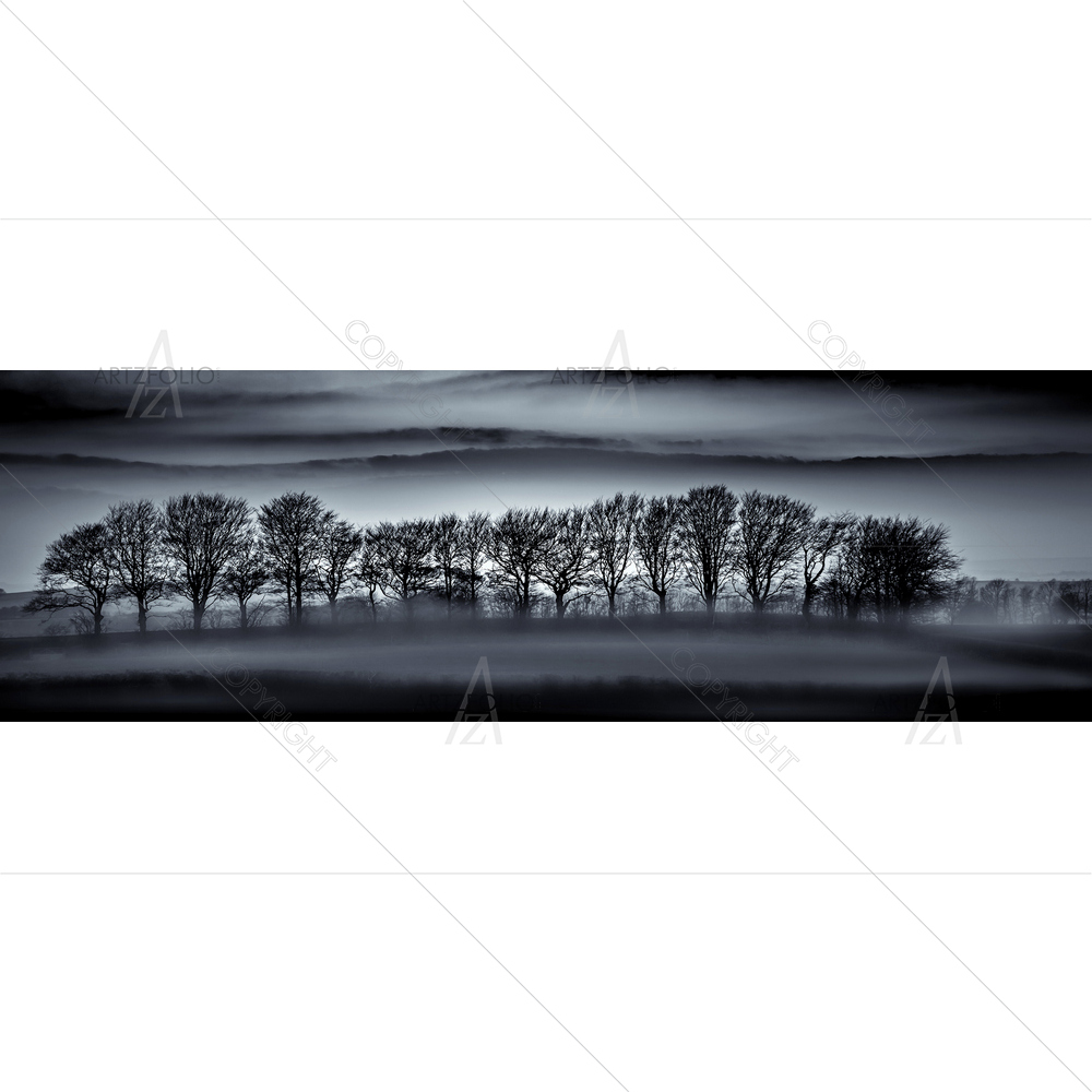 Tree Silhouette, Cornwall — custom-size art design 5014097