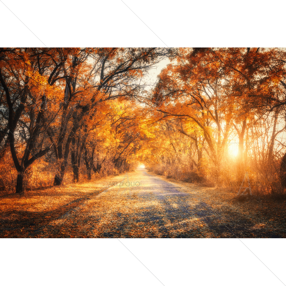Colorful Landscape with Country Road — custom-size art design 5014155
