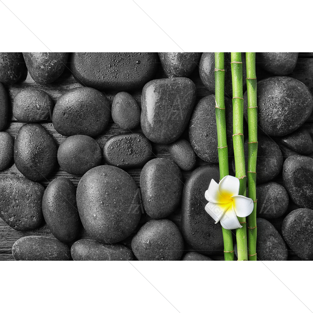 Bamboo Branches and Spa Stones — Botanical custom art by ArtzFolio