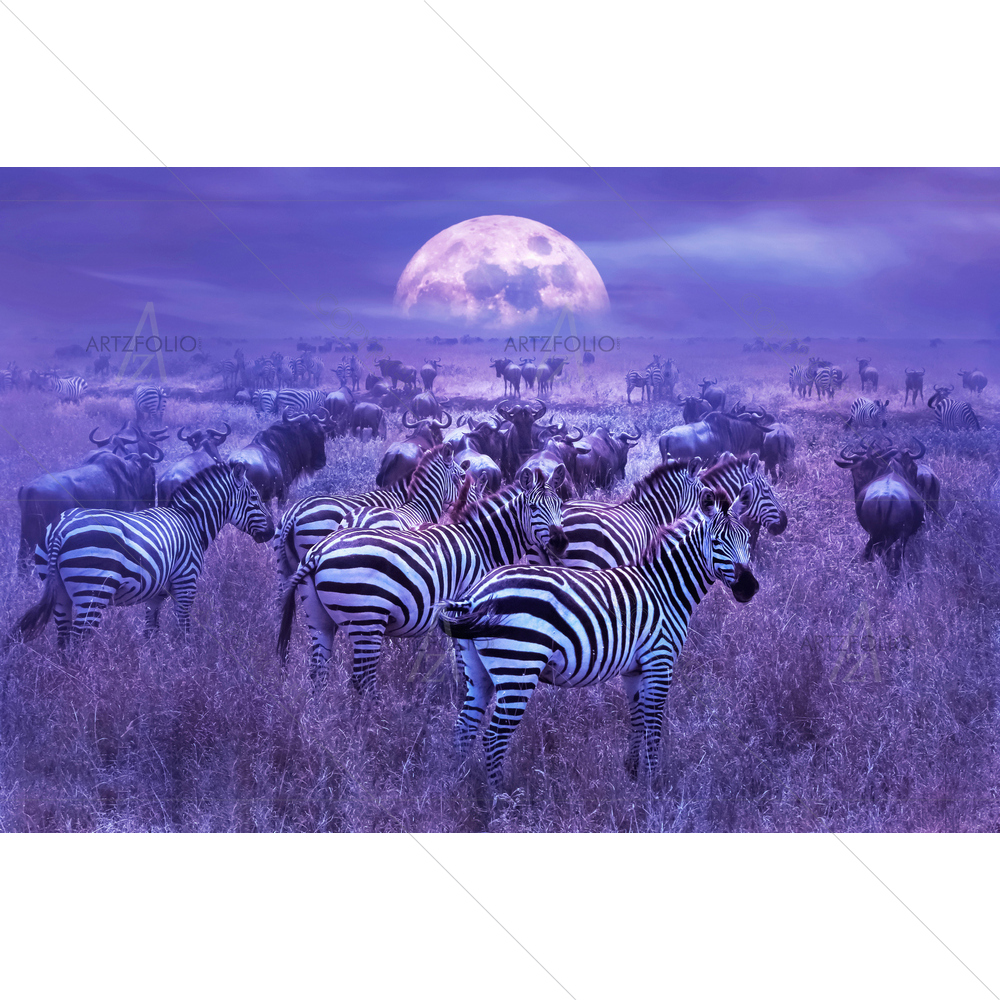 Zebras, African Savannah — African custom art by ArtzFolio