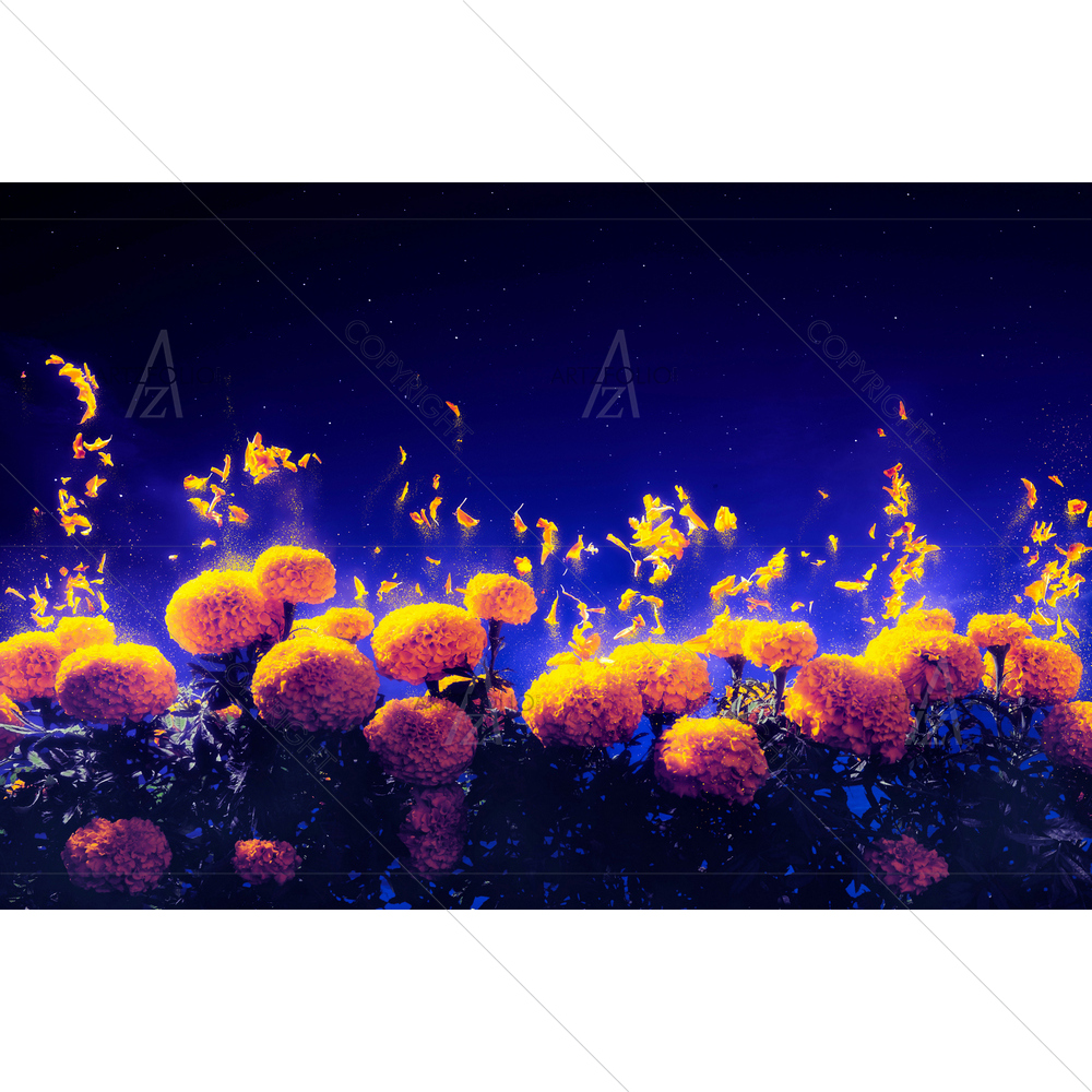 Marigold Floating Petals — custom-size art design 5014201