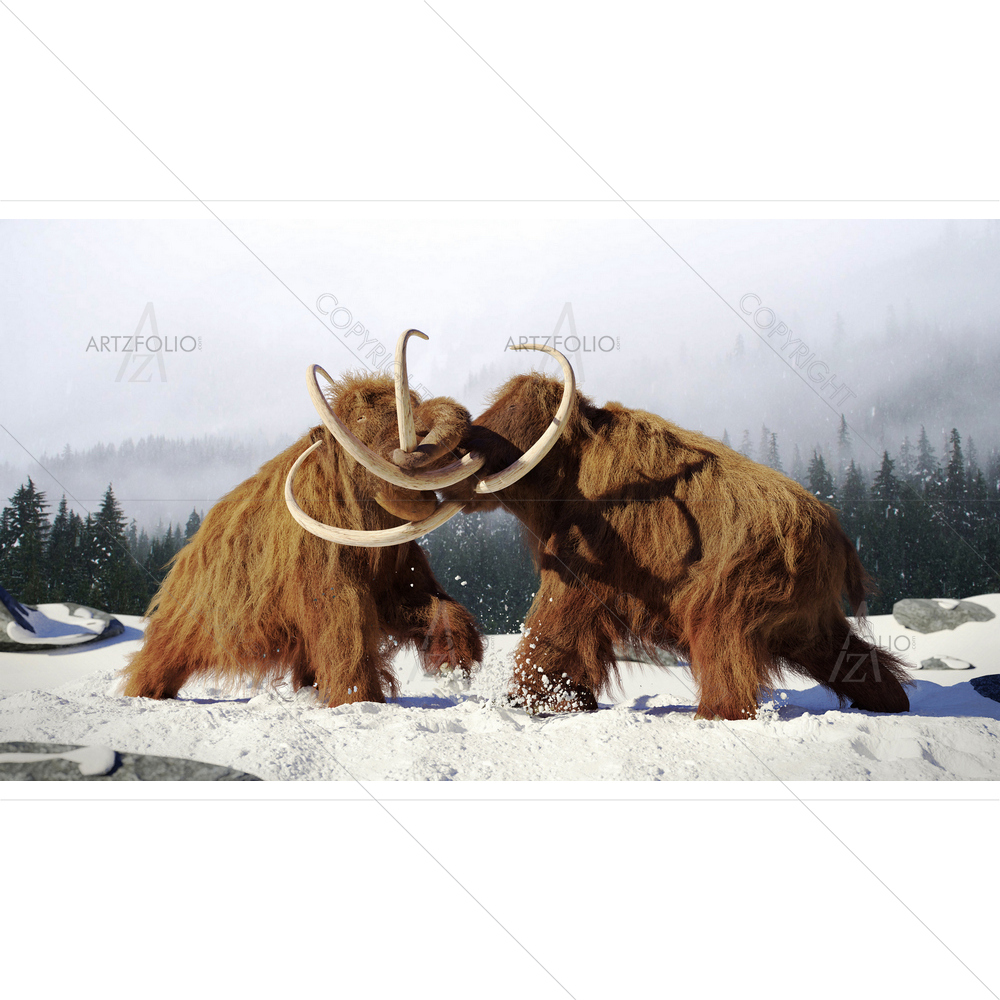 Woolly Mammoth Bulls Fighting — custom-size art design 5014260