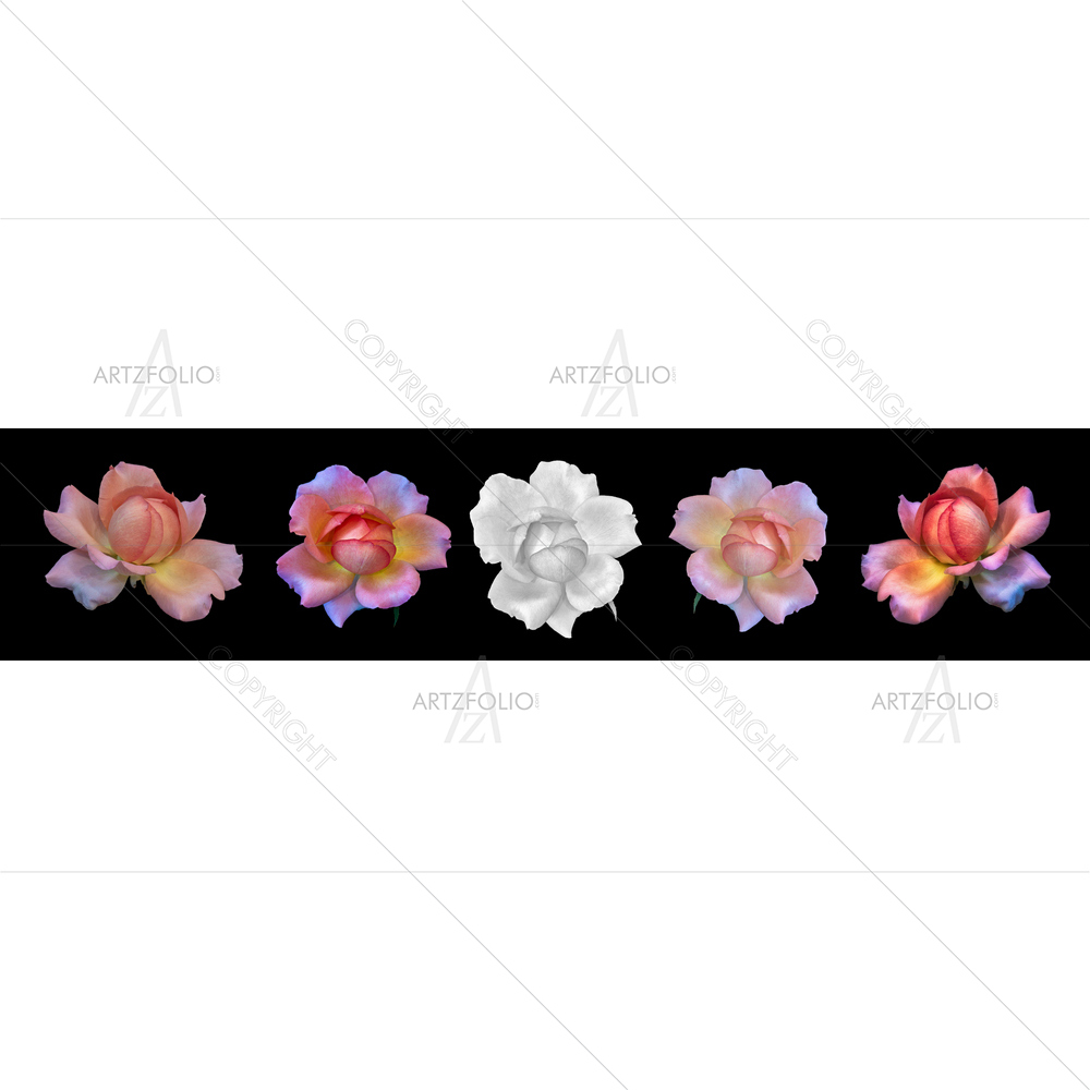 Still Life Colorful Flowers — custom-size art design 5014287