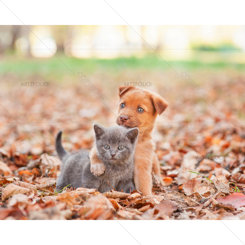 Puppy Hugging Kitten — custom-size art design 5014307