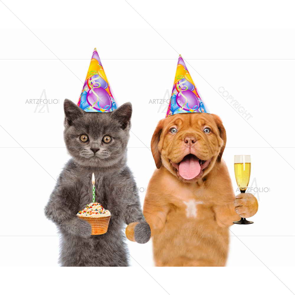 Kitten and Puppy in Birthday Cap — custom-size art design 5014429