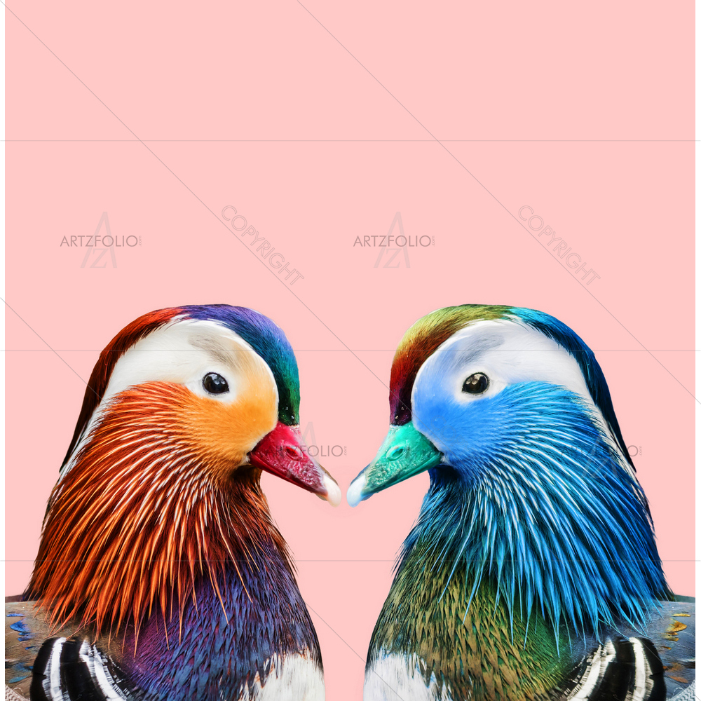 Colorful Birds D2 — custom-size art design 5014504
