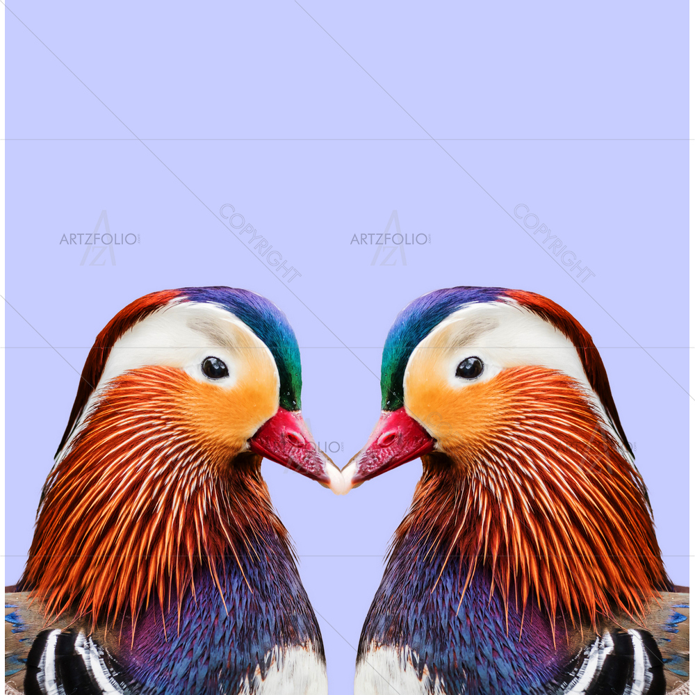 Colorful Birds D3 — Animals custom art by ArtzFolio