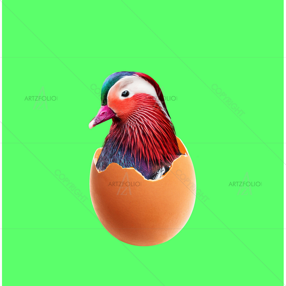 Colorful Bird Peeking Out of Egg — custom-size art design 5014506