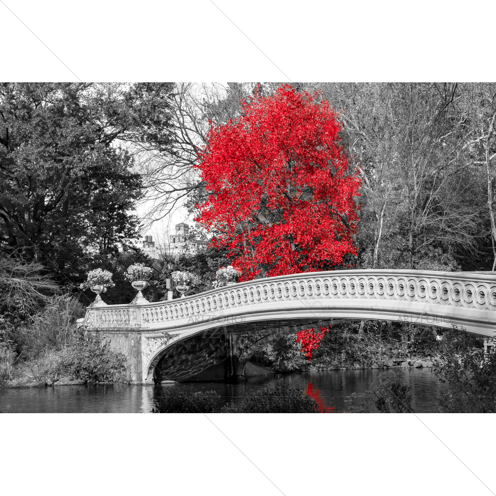 Red Tree at Bow Bridge, New York City — custom-size art design 5014539