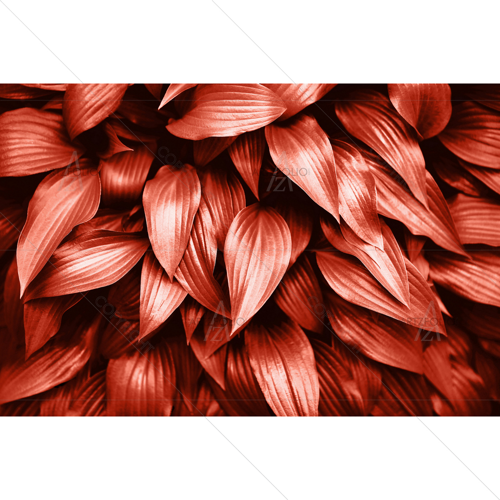 Living Coral Fresh Leaves — custom-size art design 5014567