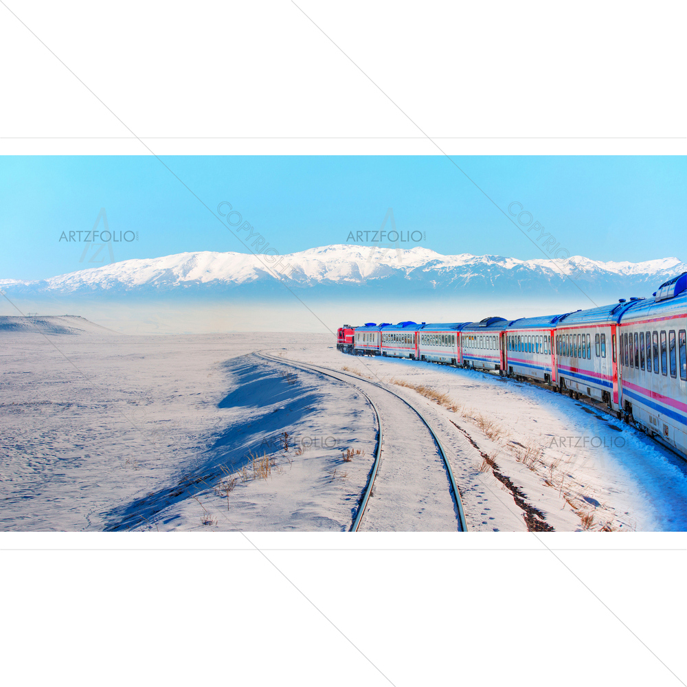 Red Diesel Train at Railway Platform — custom-size art design 5014593