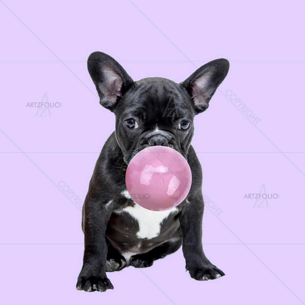Pug Dog Chewing Bubble Gum — custom-size art design 5014603